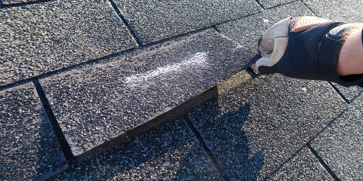 damaged roof shingle